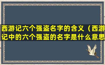 西游记六个强盗名字的含义（西游记中的六个强盗的名字是什么意思）