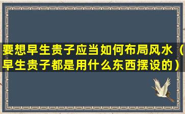 要想早生贵子应当如何布局风水（早生贵子都是用什么东西摆设的）