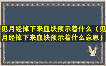 见月经掉下来血块预示着什么（见月经掉下来血块预示着什么意思）