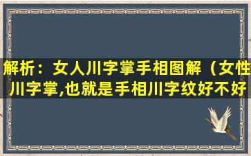 解析：女人川字掌手相图解（女性川字掌,也就是手相川字纹好不好呢）