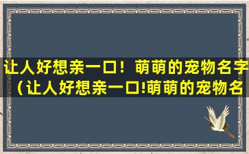 让人好想亲一口！萌萌的宠物名字（让人好想亲一口!萌萌的宠物名字）