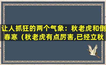 让人抓狂的两个气象：秋老虎和倒春寒（秋老虎有点厉害,已经立秋很久了,天气依旧很热）