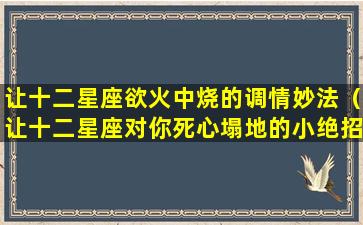 让十二星座欲火中烧的调情妙法（让十二星座对你死心塌地的小绝招）