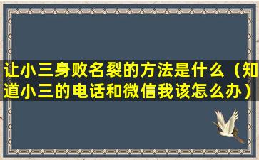 让小三身败名裂的方法是什么（知道小三的电话和微信我该怎么办）