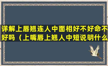 详解上唇翘连人中面相好不好命不好吗（上嘴唇上翘人中短说明什么）