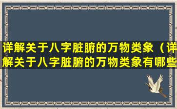 详解关于八字脏腑的万物类象（详解关于八字脏腑的万物类象有哪些）