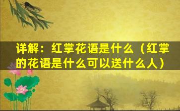 详解：红掌花语是什么（红掌的花语是什么可以送什么人）