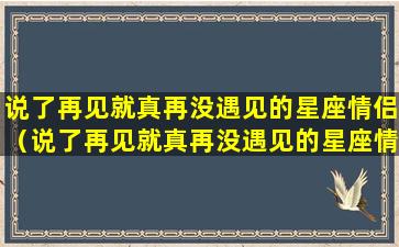 说了再见就真再没遇见的星座情侣（说了再见就真再没遇见的星座情侣网名）