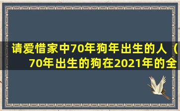 请爱惜家中70年狗年出生的人（70年出生的狗在2021年的全年运势）