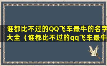 谁都比不过的QQ飞车最牛的名字大全（谁都比不过的qq飞车最牛的名字大全是什么）