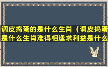 调皮捣蛋的是什么生肖（调皮捣蛋是什么生肖难得相逢求利益是什么生肖）