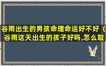 谷雨出生的男孩命理命运好不好（谷雨这天出生的孩子好吗,怎么取名字）