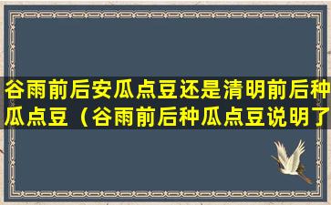 谷雨前后安瓜点豆还是清明前后种瓜点豆（谷雨前后种瓜点豆说明了哪些非生物因素对生物的影响）