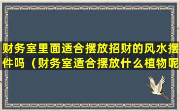 财务室里面适合摆放招财的风水摆件吗（财务室适合摆放什么植物呢）