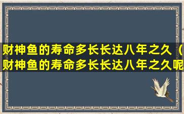 财神鱼的寿命多长长达八年之久（财神鱼的寿命多长长达八年之久呢）