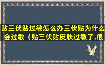 贴三伏贴过敏怎么办三伏贴为什么会过敏（贴三伏贴皮肤过敏了,很痒,怎么办）