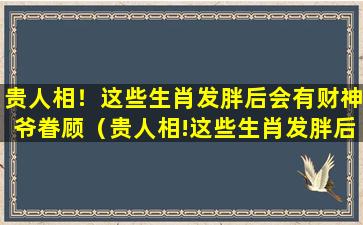 贵人相！这些生肖发胖后会有财神爷眷顾（贵人相!这些生肖发胖后会有财神爷眷顾）