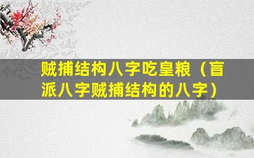 贼捕结构八字吃皇粮（盲派八字贼捕结构的八字）