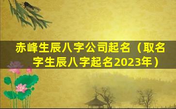 赤峰生辰八字公司起名（取名字生辰八字起名2023年）