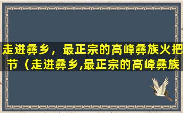 走进彝乡，最正宗的高峰彝族火把节（走进彝乡,最正宗的高峰彝族火把节舞蹈）