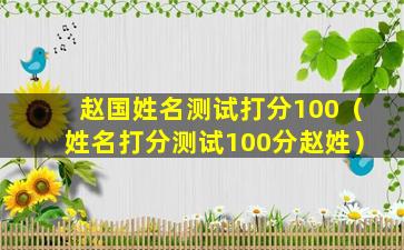 赵国姓名测试打分100（姓名打分测试100分赵姓）