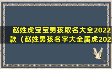 赵姓虎宝宝男孩取名大全2022款（赵姓男孩名字大全属虎2021年）