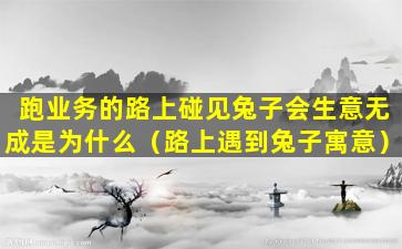 跑业务的路上碰见兔子会生意无成是为什么（路上遇到兔子寓意）