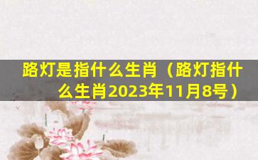 路灯是指什么生肖（路灯指什么生肖2023年11月8号）