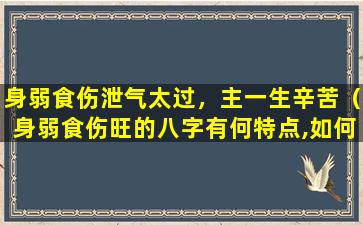 身弱食伤泄气太过，主一生辛苦（身弱食伤旺的八字有何特点,如何取用神!）