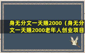 身无分文一天赚2000（身无分文一天赚2000老年人创业项目）