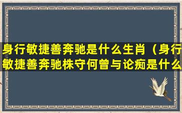 身行敏捷善奔驰是什么生肖（身行敏捷善奔驰株守何曾与论痴是什么生肖）