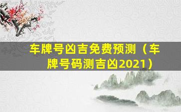 车牌号凶吉免费预测（车牌号码测吉凶2021）