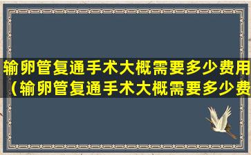 输卵管复通手术大概需要多少费用（输卵管复通手术大概需要多少费用去哪深圳怡康医院咨询）