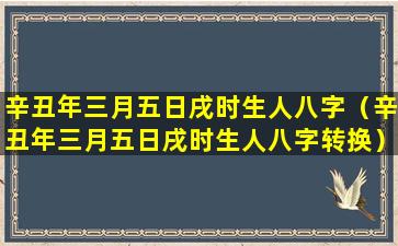 辛丑年三月五日戌时生人八字（辛丑年三月五日戌时生人八字转换）