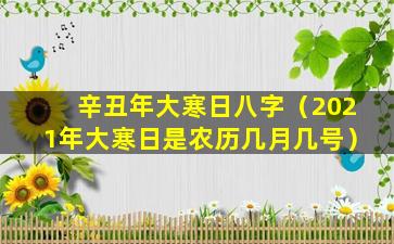 辛丑年大寒日八字（2021年大寒日是农历几月几号）