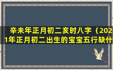 辛未年正月初二亥时八字（2021年正月初二出生的宝宝五行缺什么）