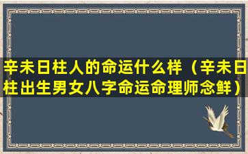 辛未日柱人的命运什么样（辛未日柱出生男女八字命运命理师念鲜）