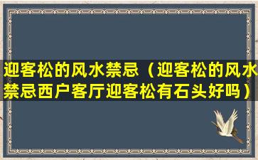 迎客松的风水禁忌（迎客松的风水禁忌西户客厅迎客松有石头好吗）