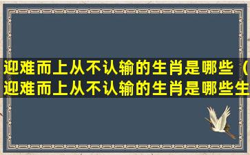 迎难而上从不认输的生肖是哪些（迎难而上从不认输的生肖是哪些生肖）