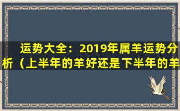 运势大全：2019年属羊运势分析（上半年的羊好还是下半年的羊好）