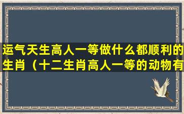 运气天生高人一等做什么都顺利的生肖（十二生肖高人一等的动物有哪几肖）