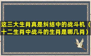 这三大生肖真是纠结中的战斗机（十二生肖中战斗的生肖是哪几肖）