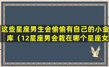 这些星座男生会偷偷有自己的小金库（12星座男会栽在哪个星座女手里）