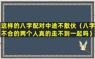 这样的八字配对中途不散伙（八字不合的两个人真的走不到一起吗）