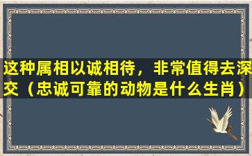 这种属相以诚相待，非常值得去深交（忠诚可靠的动物是什么生肖）