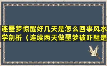 连噩梦惊醒好几天是怎么回事风水学剖析（连续两天做噩梦被吓醒是什么预兆）