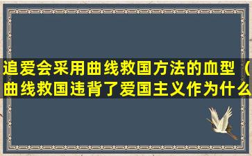 追爱会采用曲线救国方法的血型（曲线救国违背了爱国主义作为什么的实质）