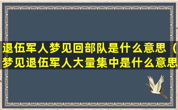 退伍军人梦见回部队是什么意思（梦见退伍军人大量集中是什么意思）