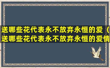 送哪些花代表永不放弃永恒的爱（送哪些花代表永不放弃永恒的爱情呢）