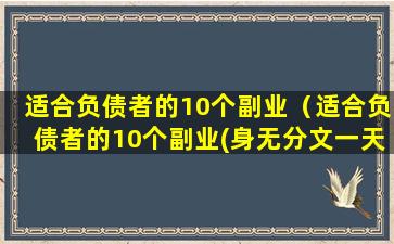 适合负债者的10个副业（适合负债者的10个副业(身无分文一天赚2000)）